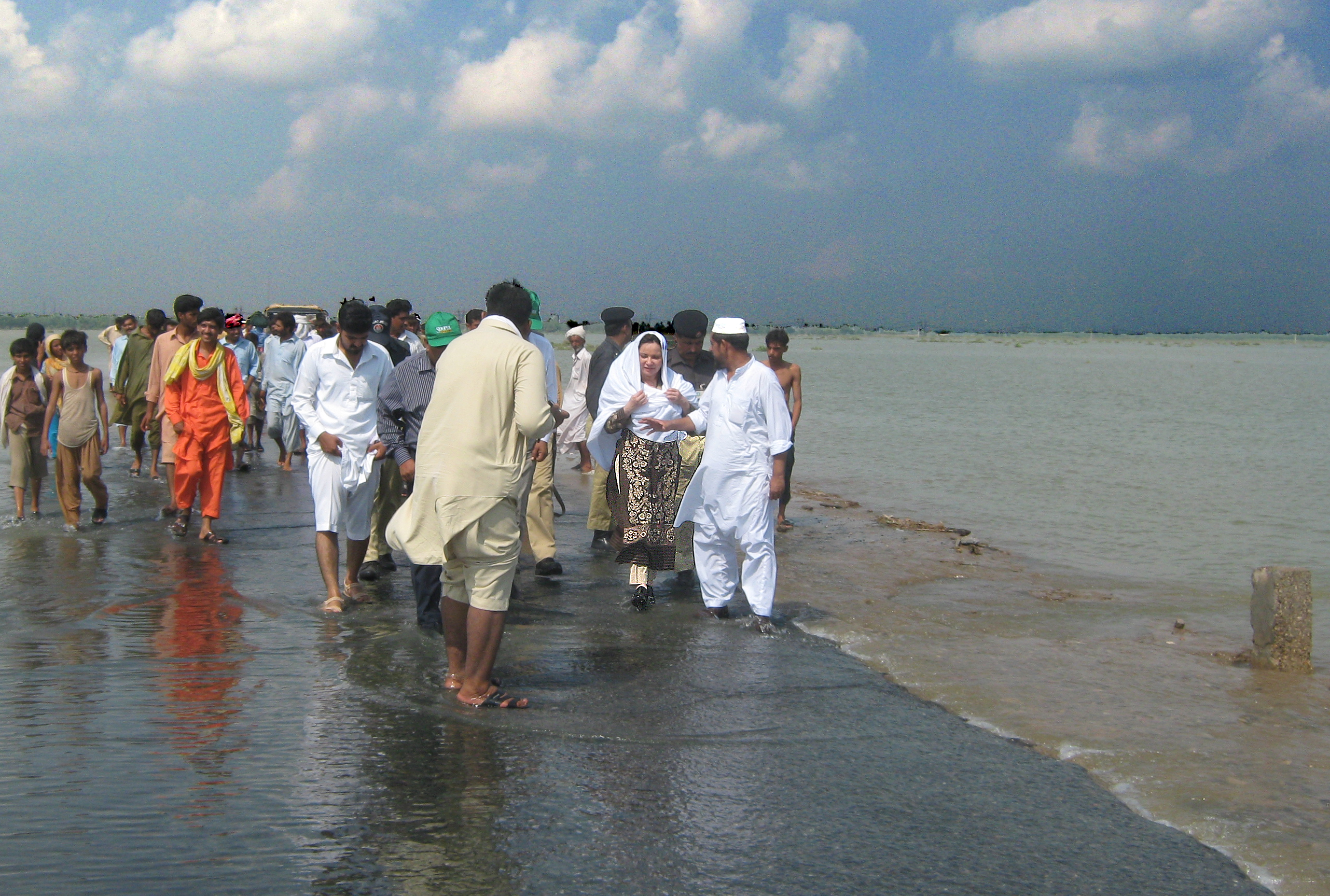 Dr. Zeelaf Munir, President APPNA 2010 